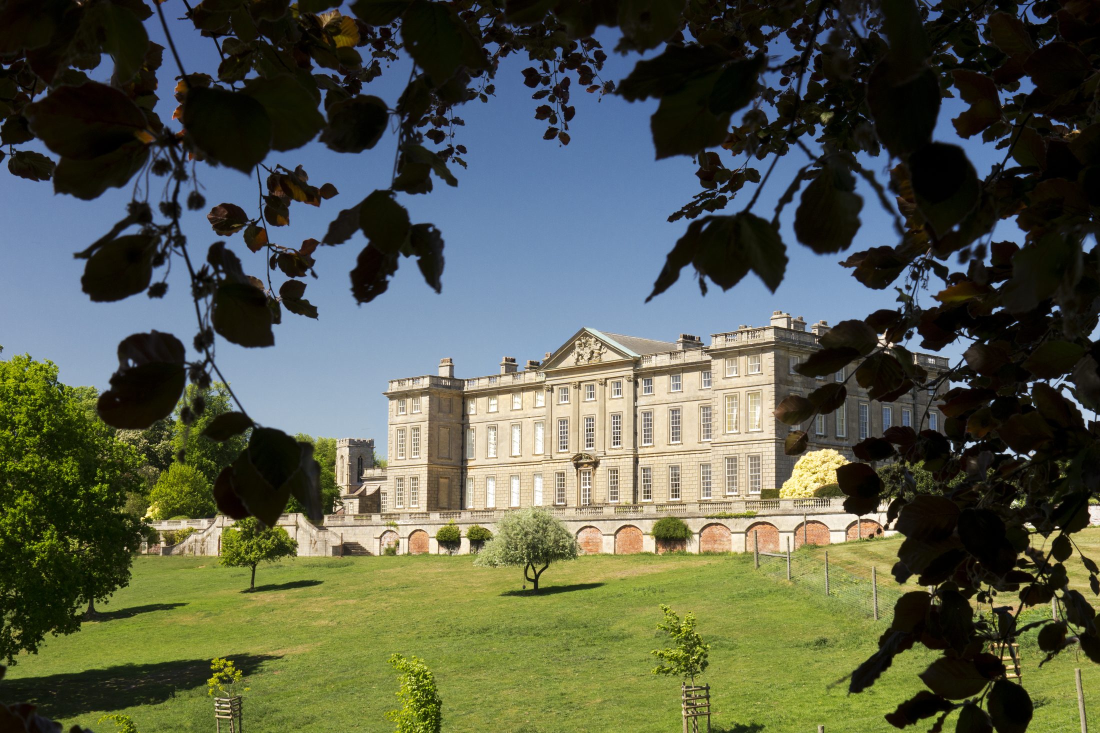 The house from the south-east corner, framed by trees